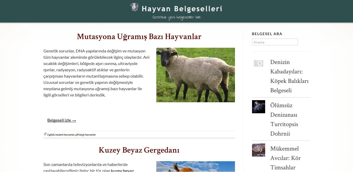 Hayvanbelgeselleri.com